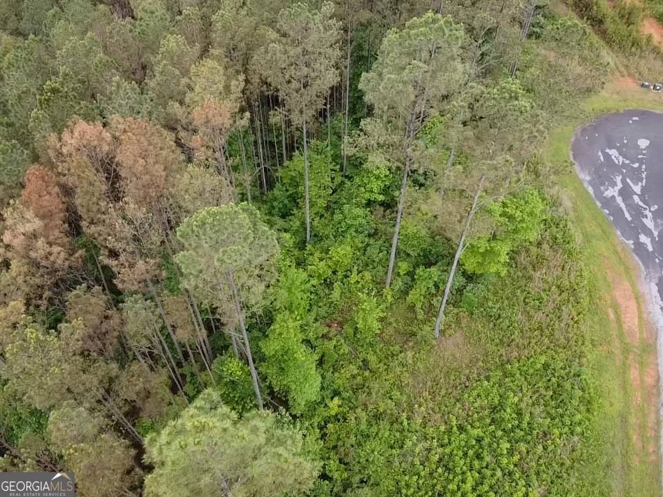 East Ellijay, GA 30540,LOT 37 Pine Grove LN