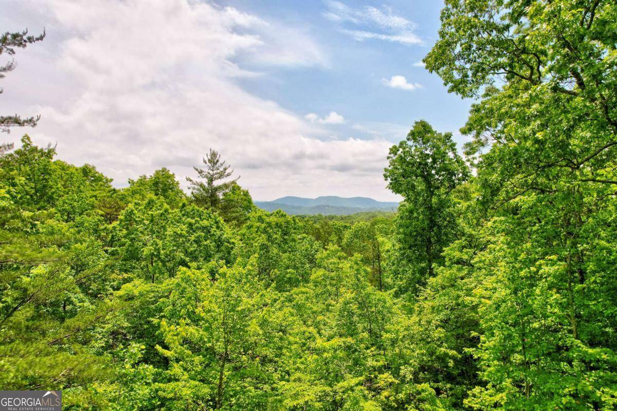 Mineral Bluff, GA 30559,94 Rhinas TRL