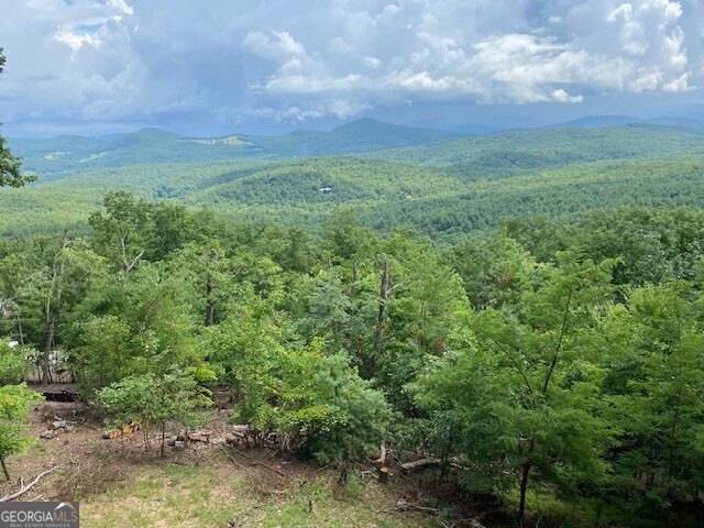 Morganton, GA 30560,220 Eagle RDG