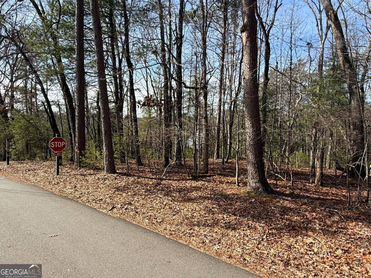 Ellijay, GA 30540,LOT 47 Seneca DR