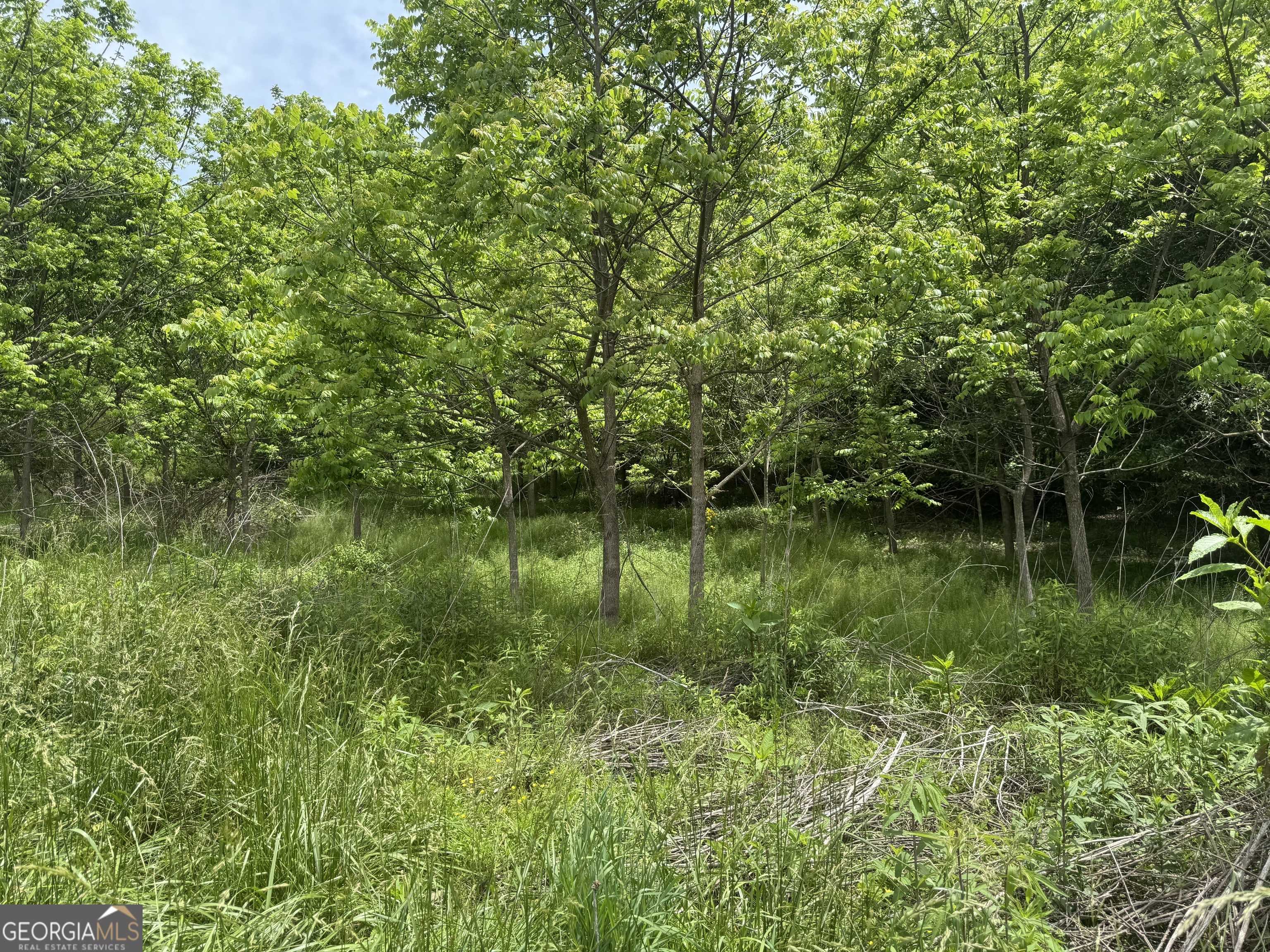 Young Harris, GA 30582,LOT 3 Still Meadow CT