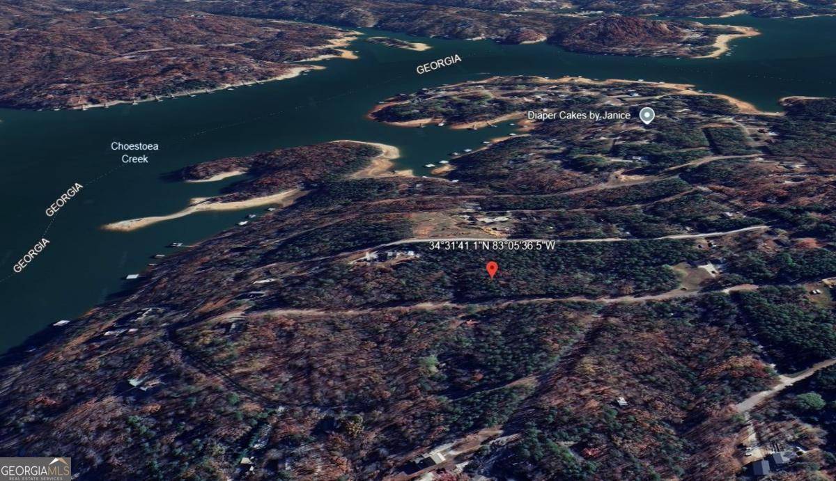 Lavonia, GA 30553,40 Mountain View Road