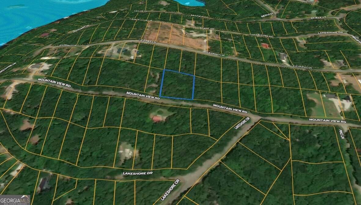 Lavonia, GA 30553,40 Mountain View Road