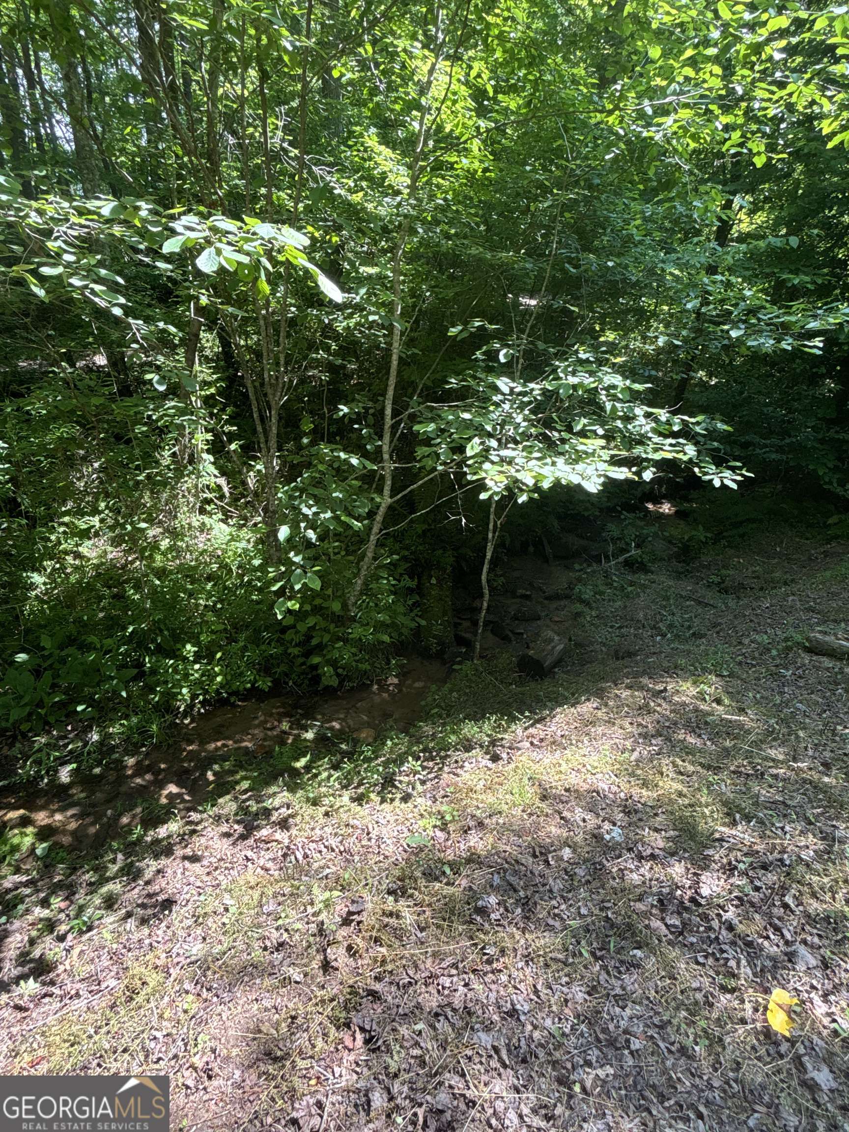 Mineral Bluff, GA 30559,149 Happy Hollow LN