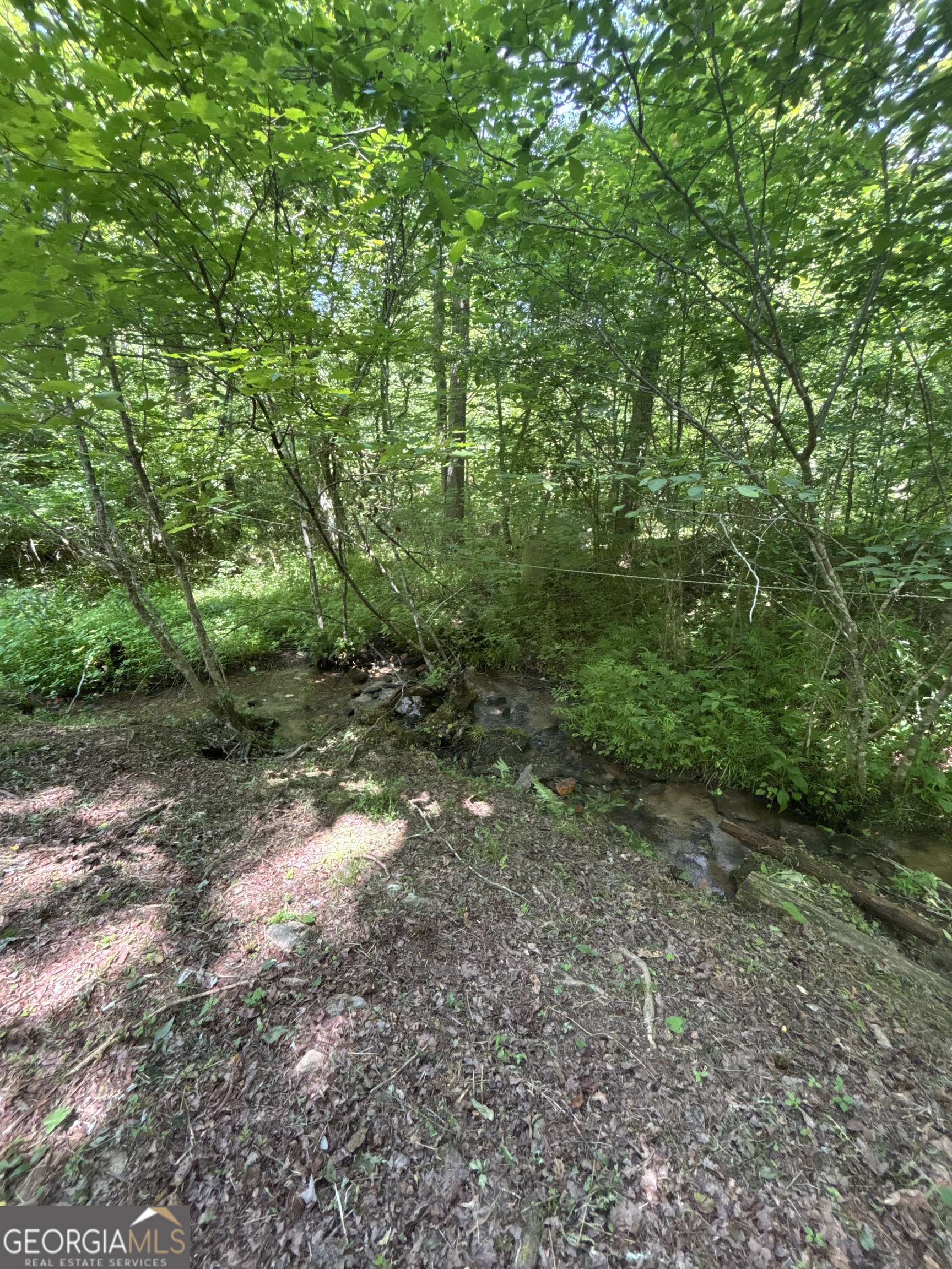 Mineral Bluff, GA 30559,149 Happy Hollow LN
