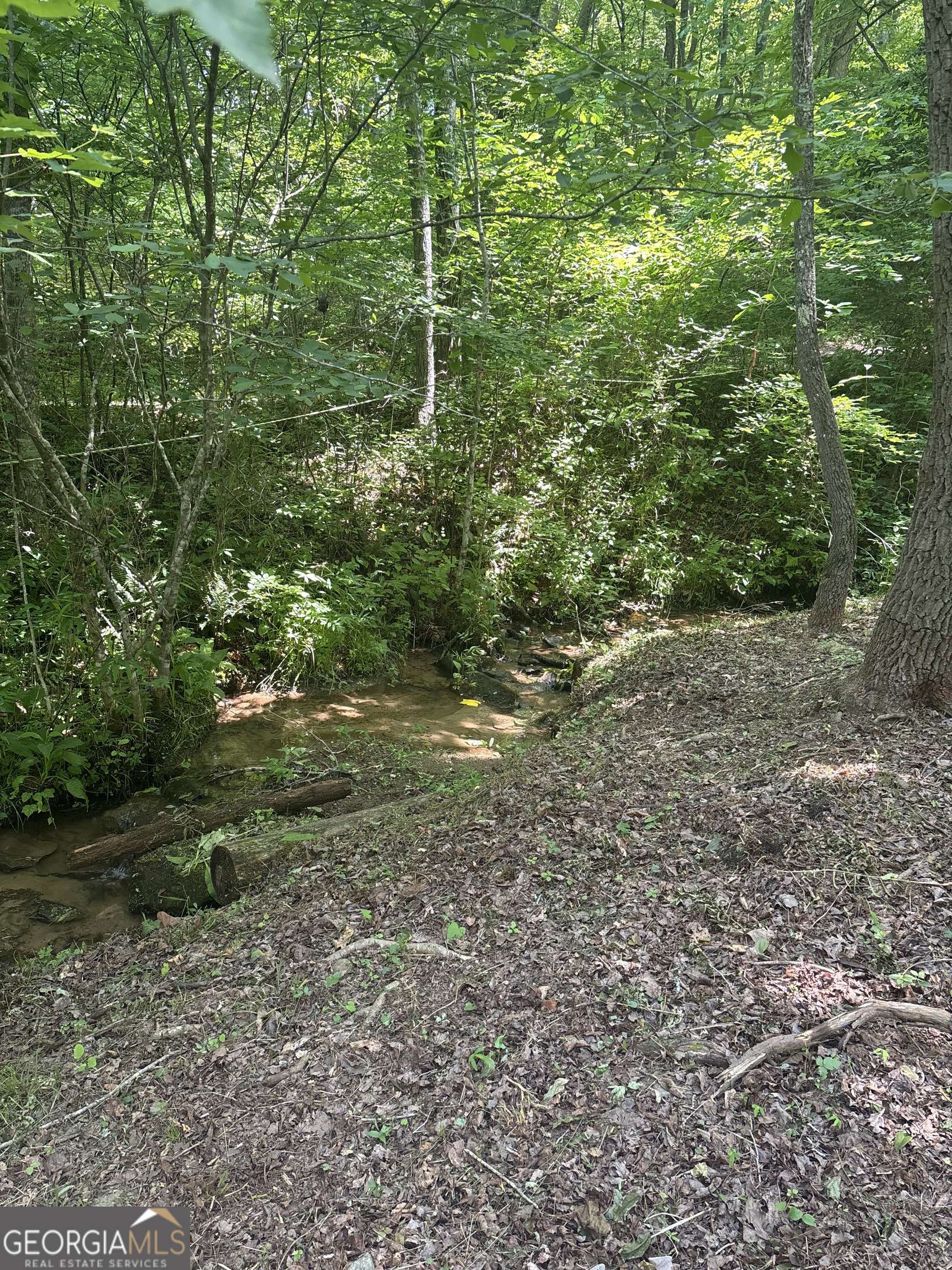 Mineral Bluff, GA 30559,149 Happy Hollow LN