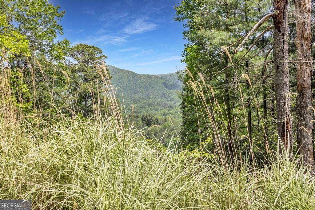 Blairsville, GA 30512,376 Eagles RST