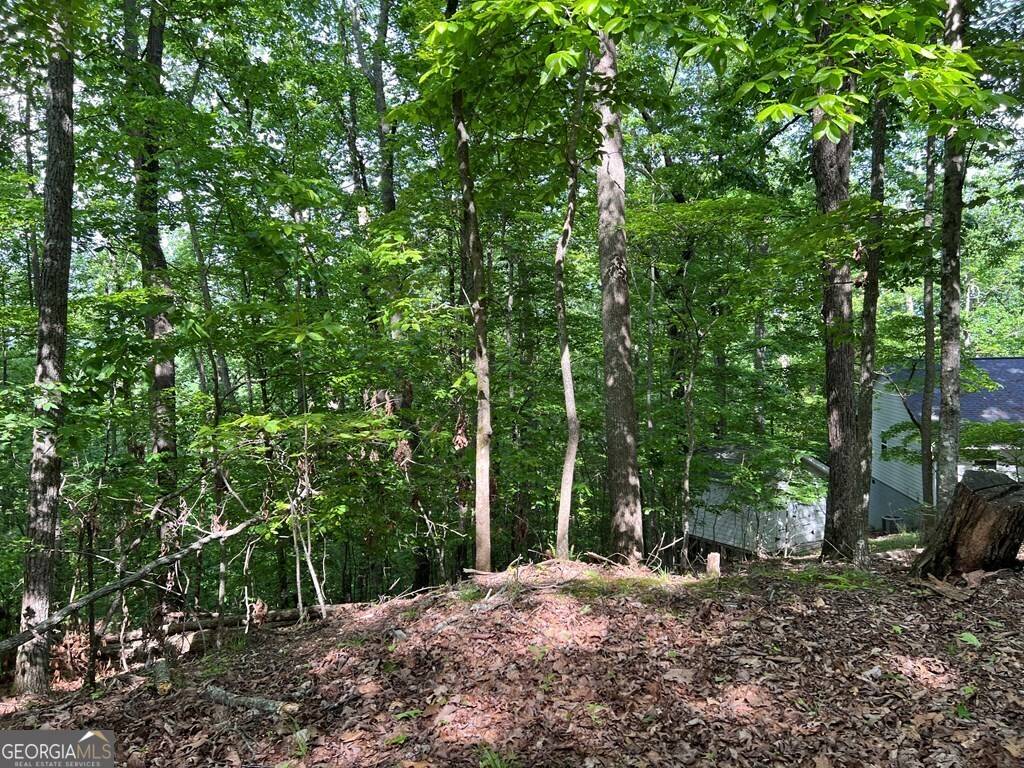 Hayesville, NC 28904,LOT 26 Longview Drive