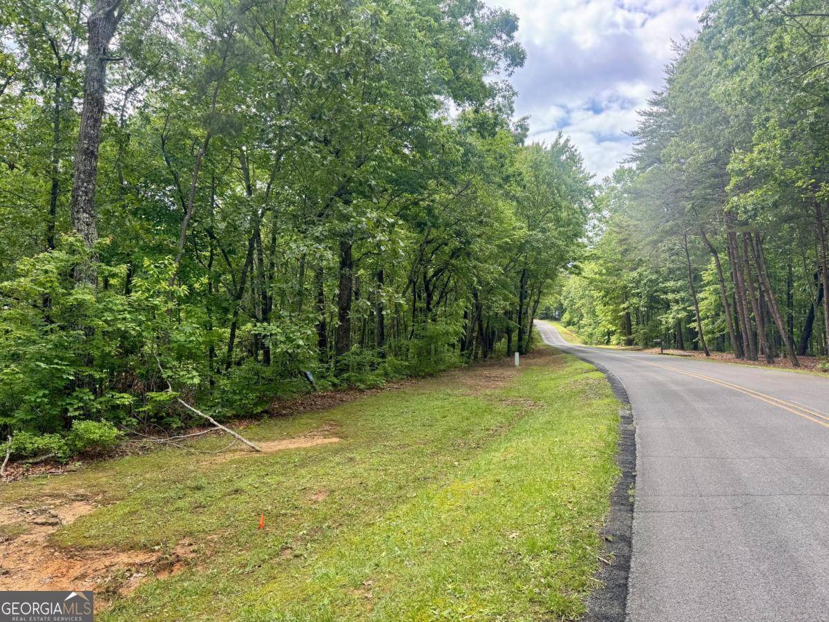 Ellijay, GA 30540,LOT 94 Doll Mountain RD