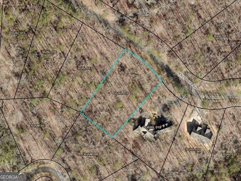 Ellijay, GA 30540,LOT 94 Doll Mountain RD