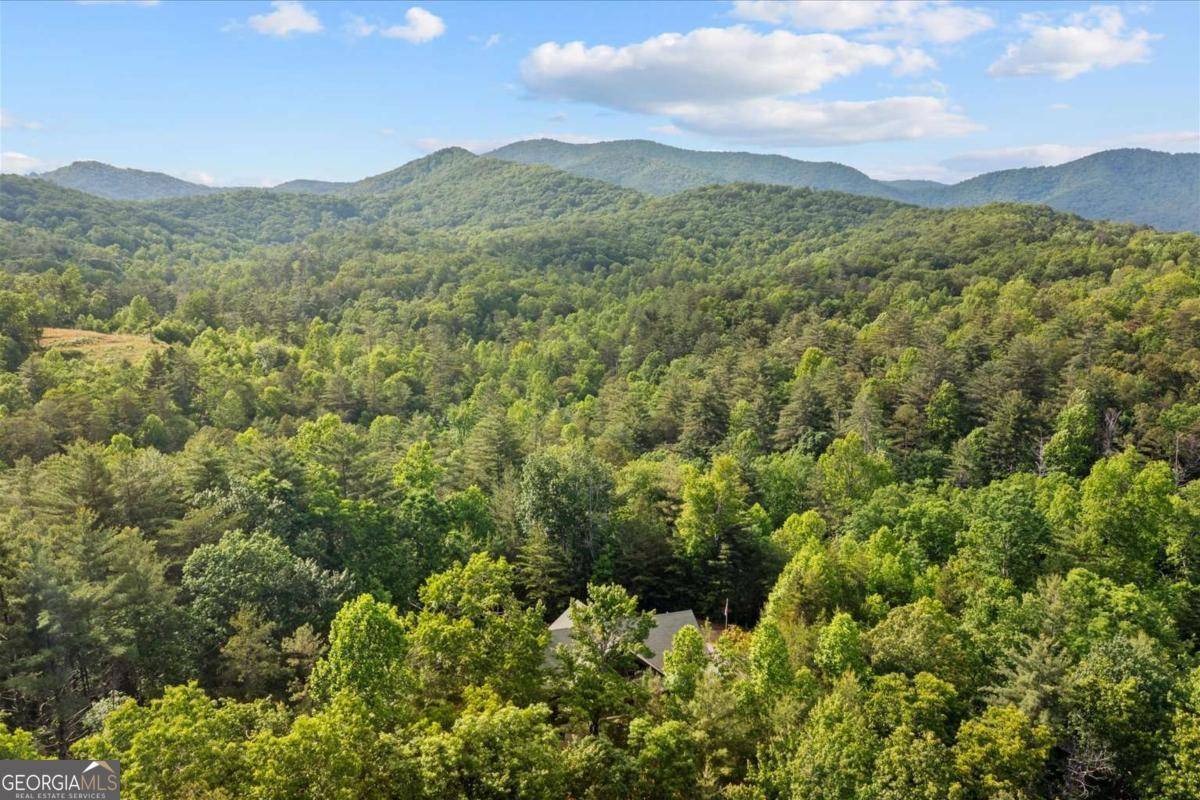 Ellijay, GA 30540,3691 Flagpole RD