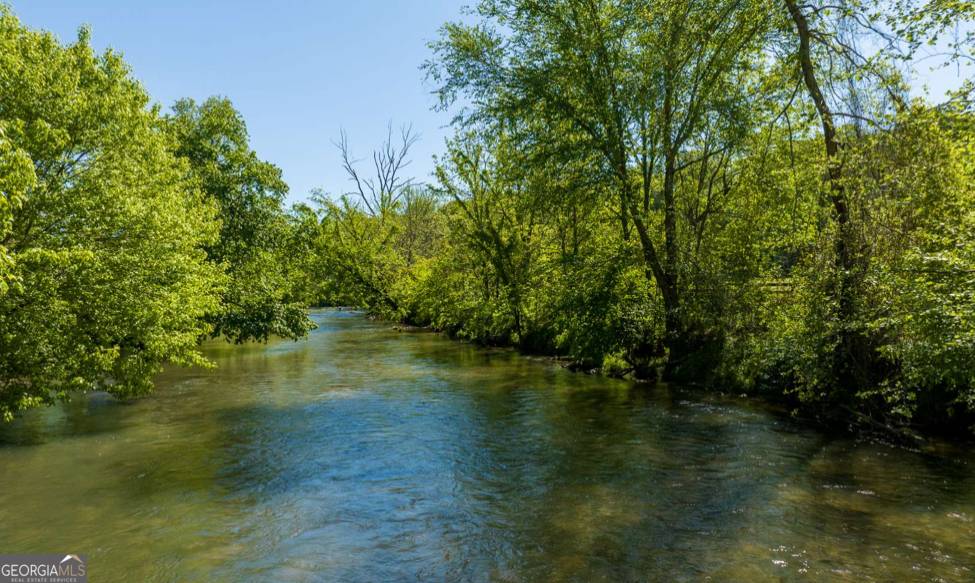 Ellijay, GA 30536,83 Licklog RD