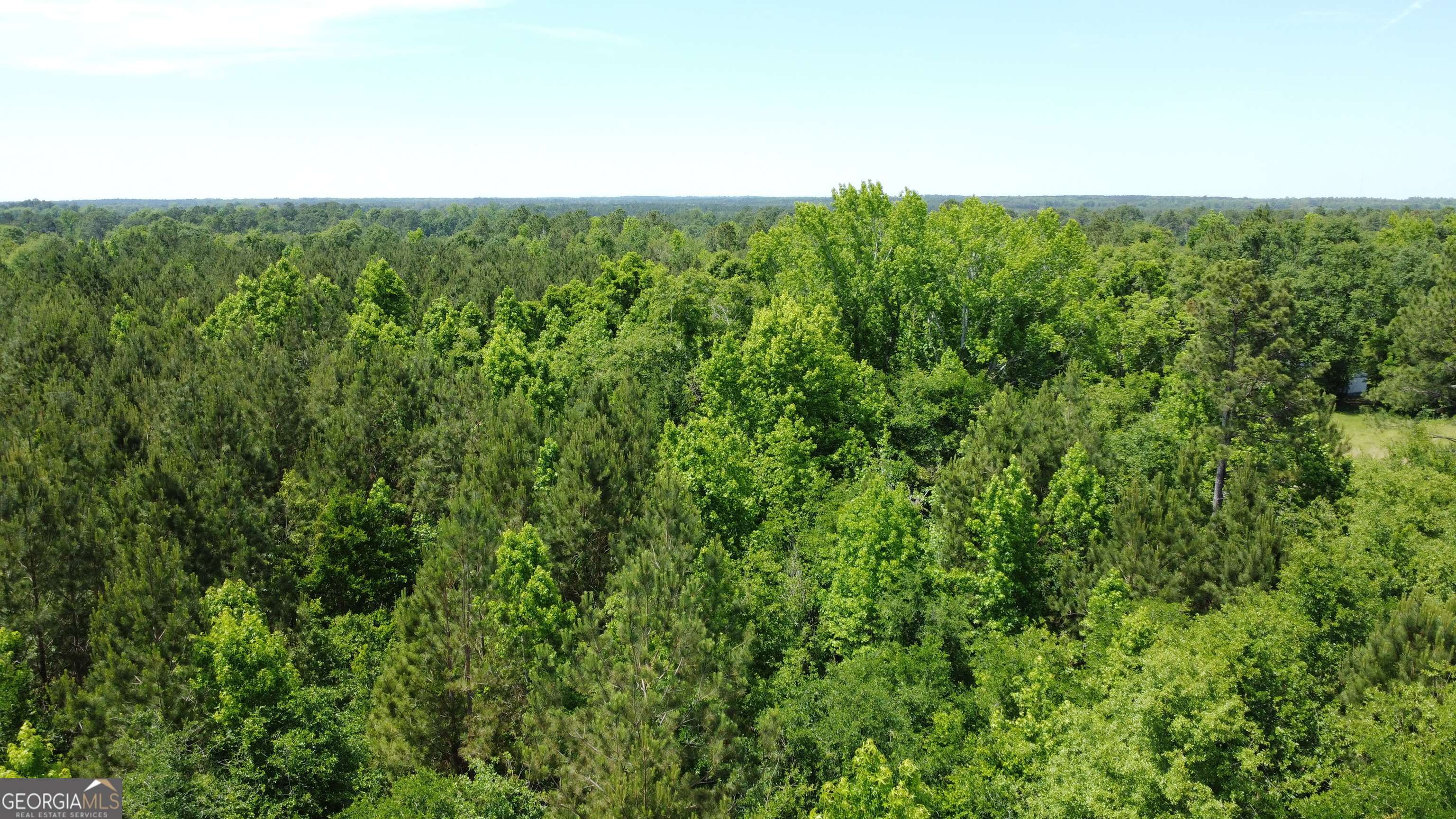 Portal, GA 30450,0 Anderson Parrish RD