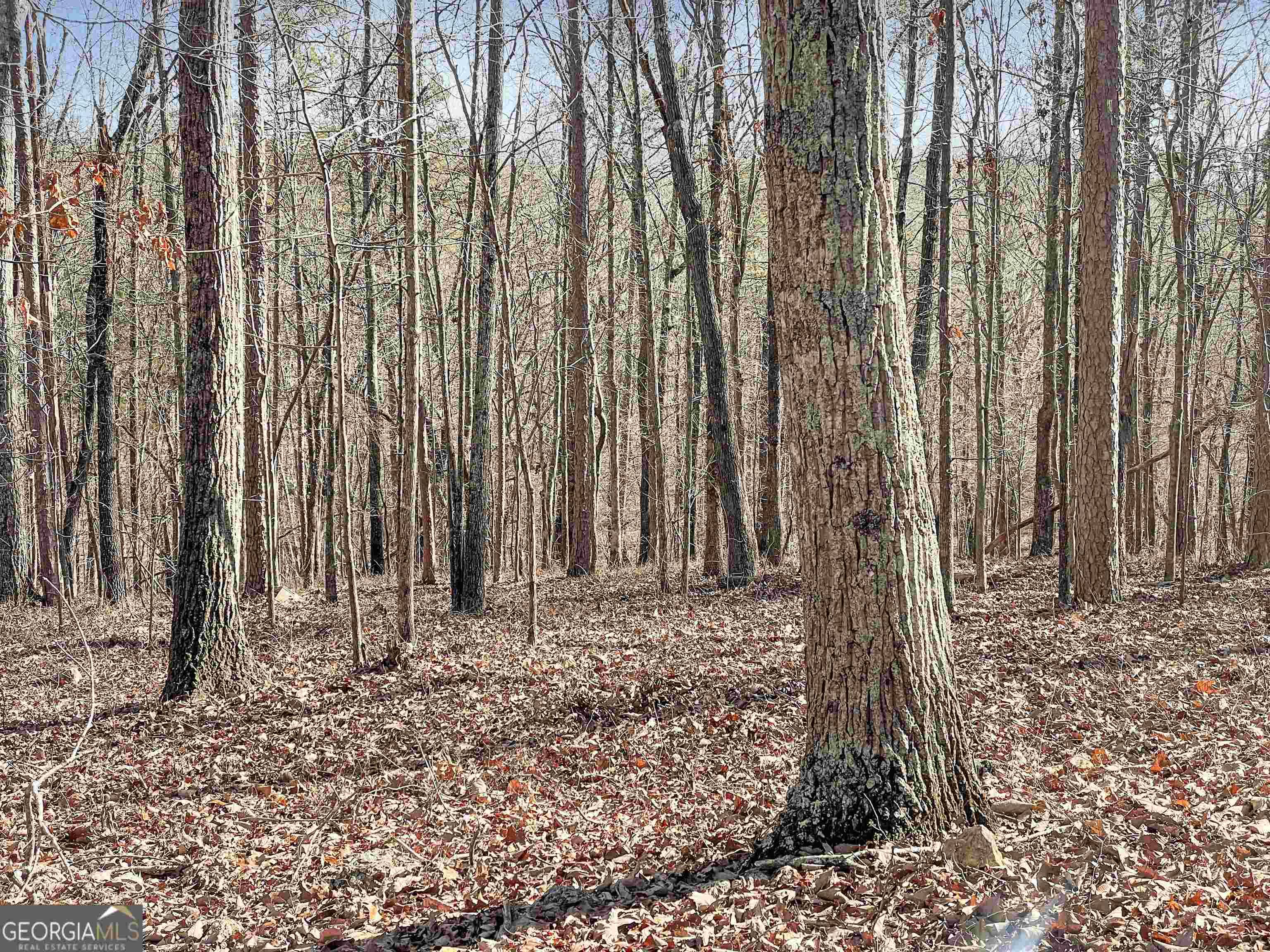 Lindale, GA 30147,5323 Cedartown Hwy
