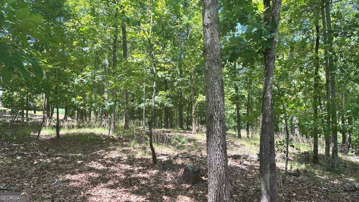 Greensboro, GA 30642,1051 Pebble Hill LN