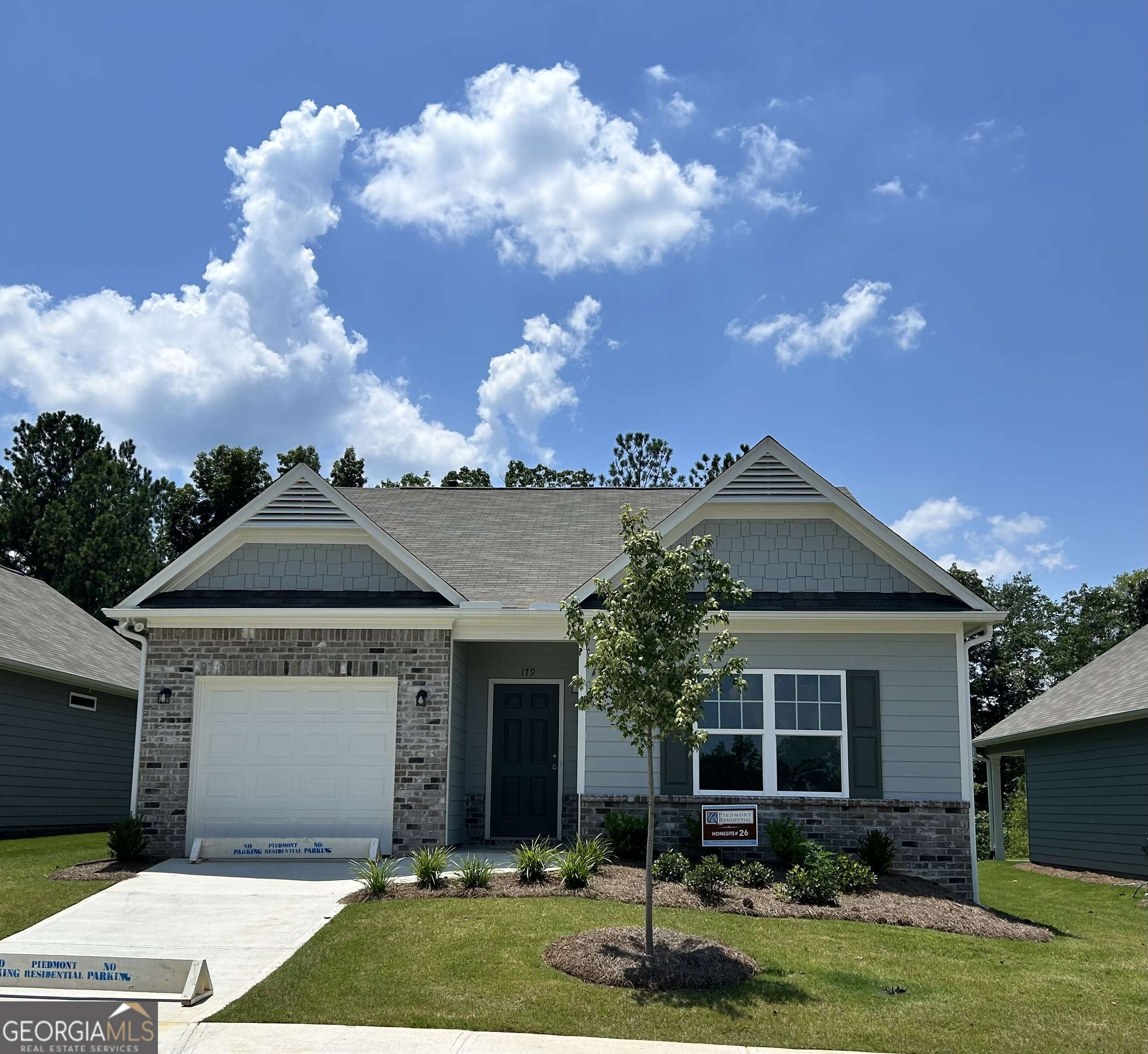 Dallas, GA 30132,179 Hydrangea CT #26