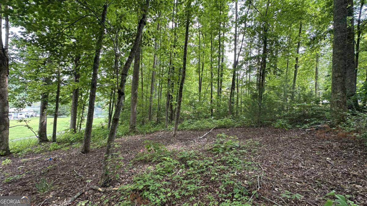 Hayesville, NC 28904,LOT 14 Old Hwy 64E