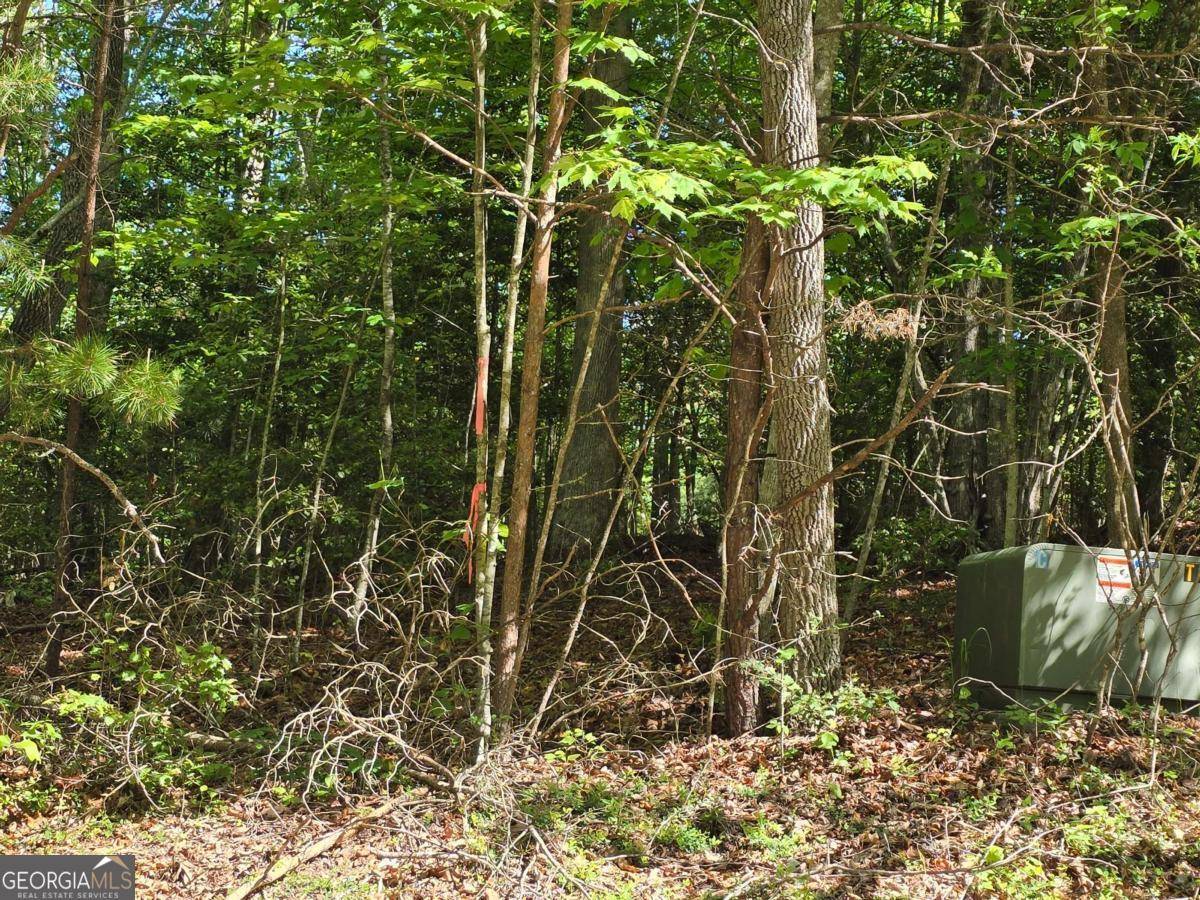 Young Harris, GA 30582,TRACT 4A Garland LN