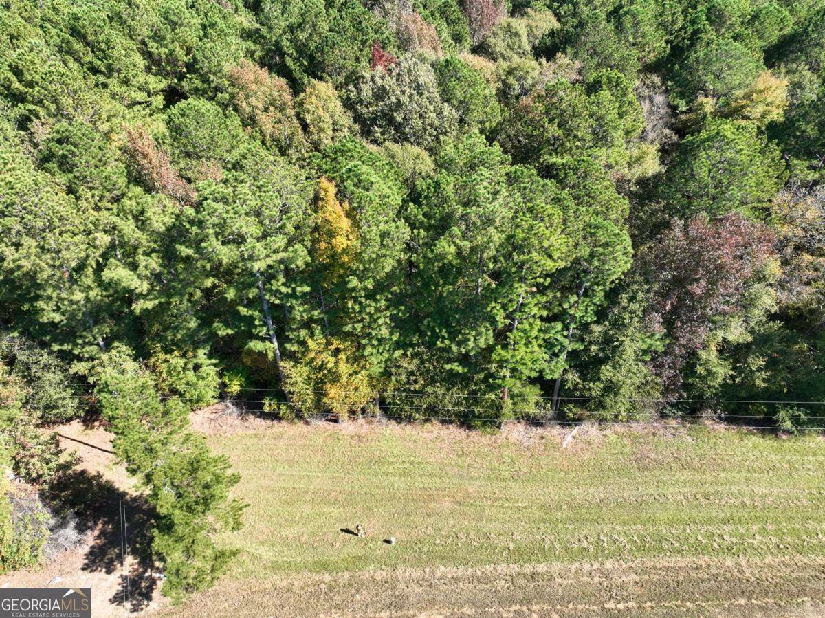 Watkinsville, GA 30677,LOT D Salem RD