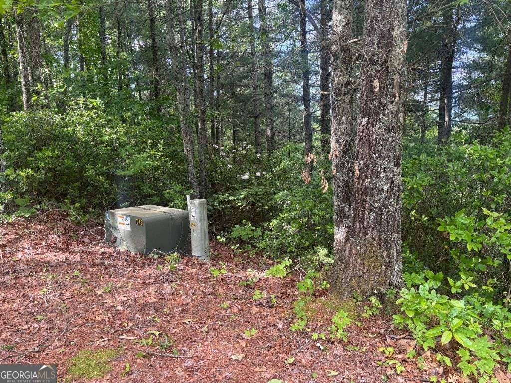 Hiawassee, GA 30546,LOT 14 Whisper Woods EST