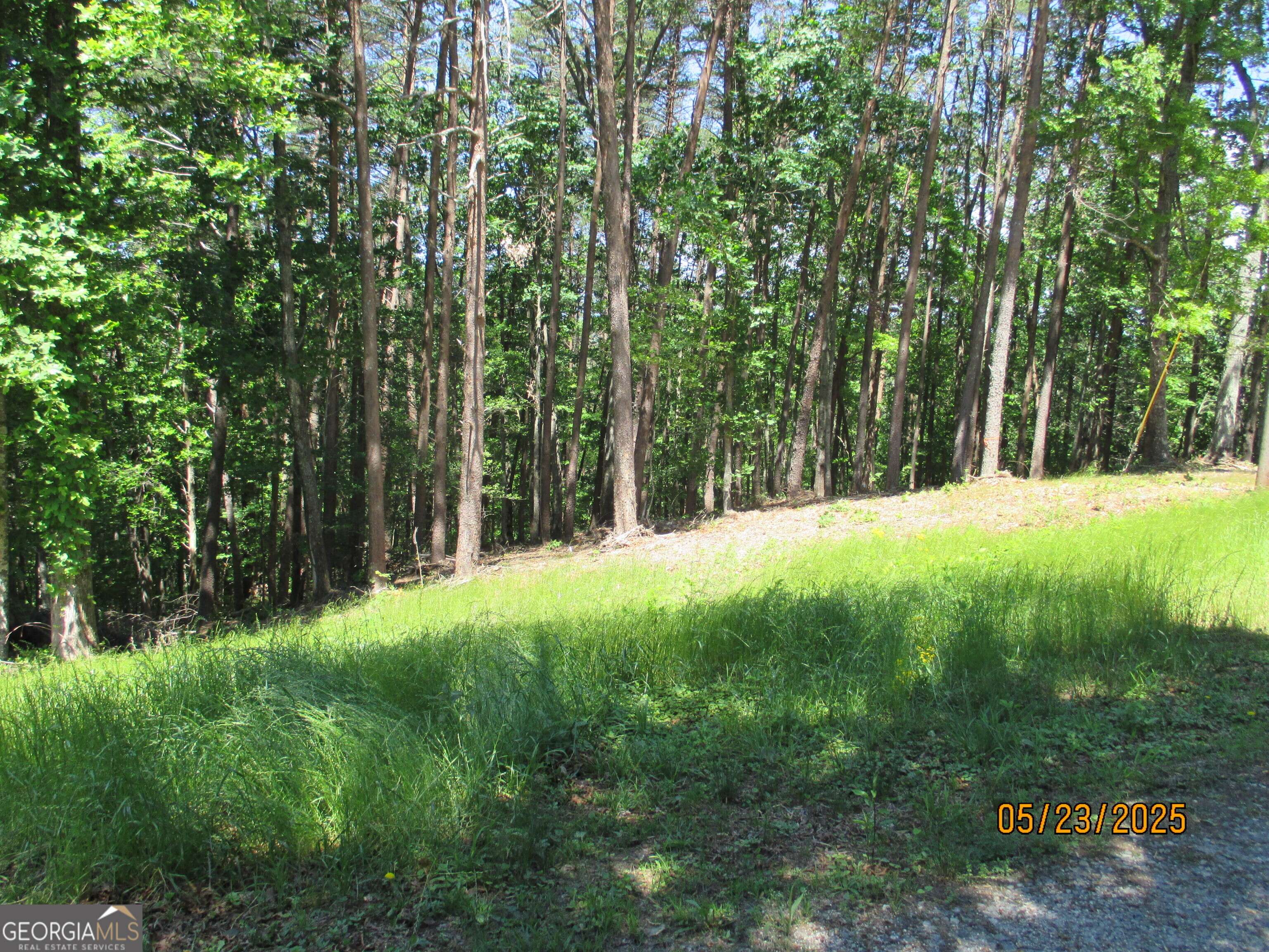 Dawsonville, GA 30534,LT 30-31 Eagle Ridge RD