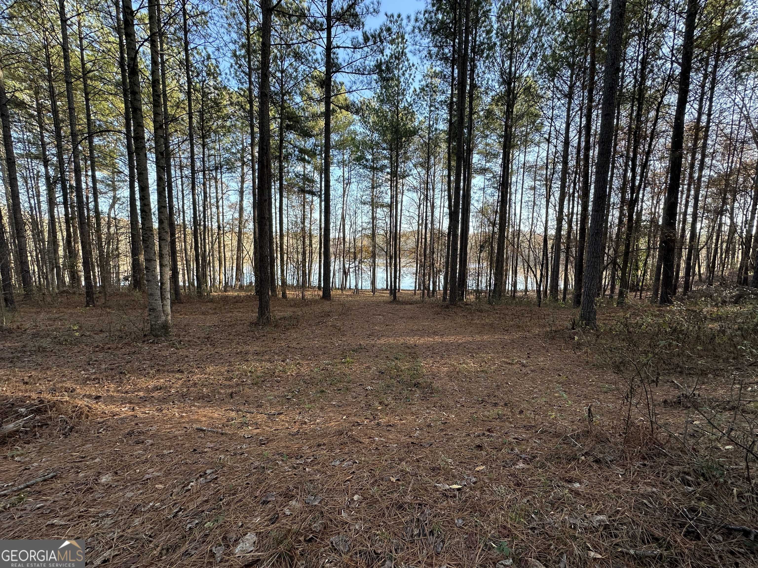 Hogansville, GA 30230,1708 Blue Creek RD