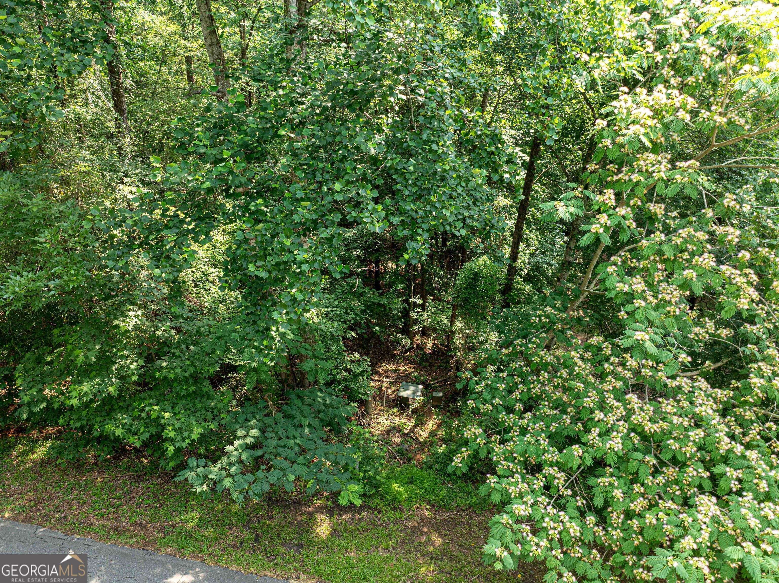 Monticello, GA 31064,LOT 29 - 78 Cardinal DR
