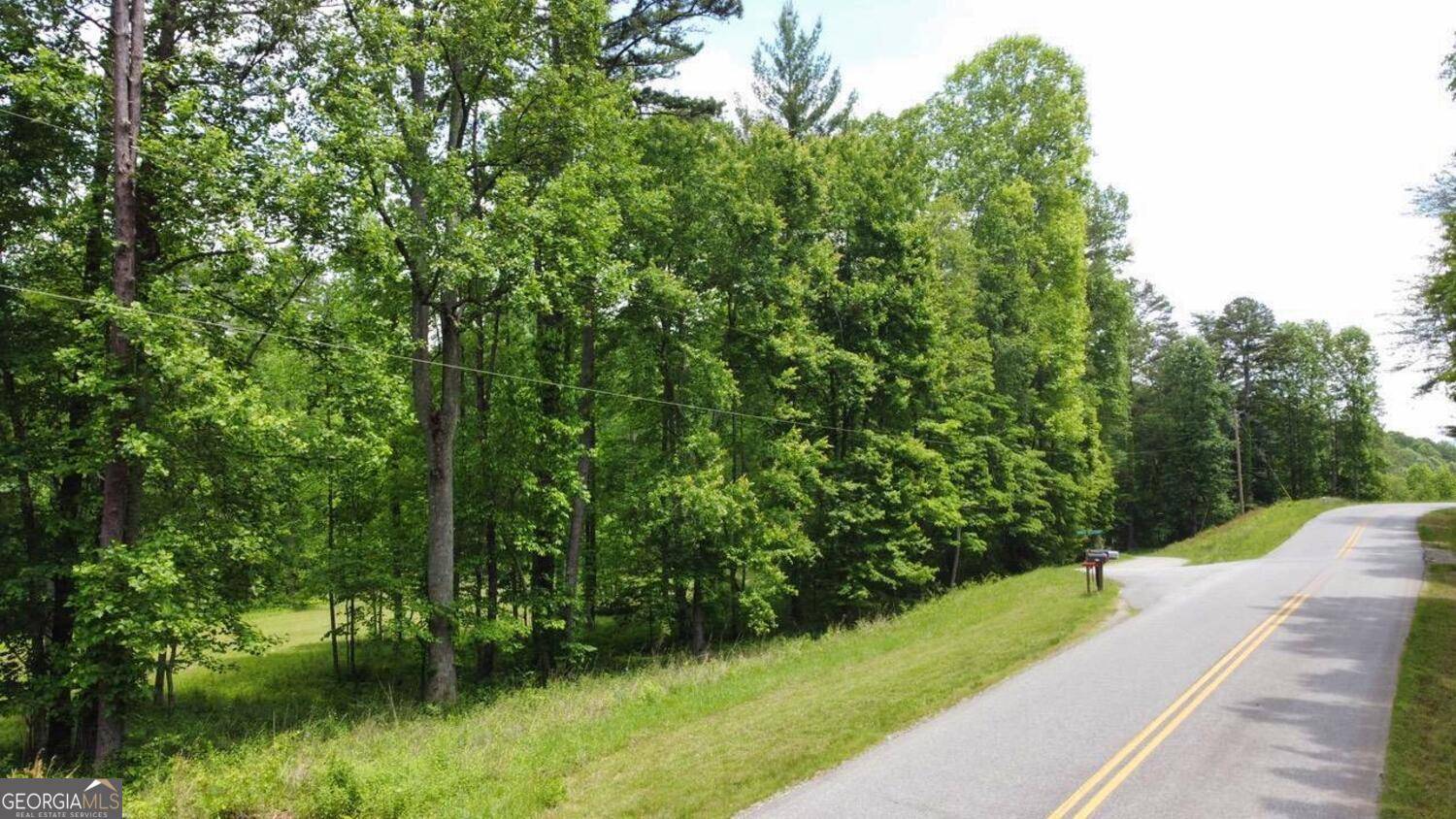 Blairsville, GA 30512,TRACT 2 Timber Ridge Road