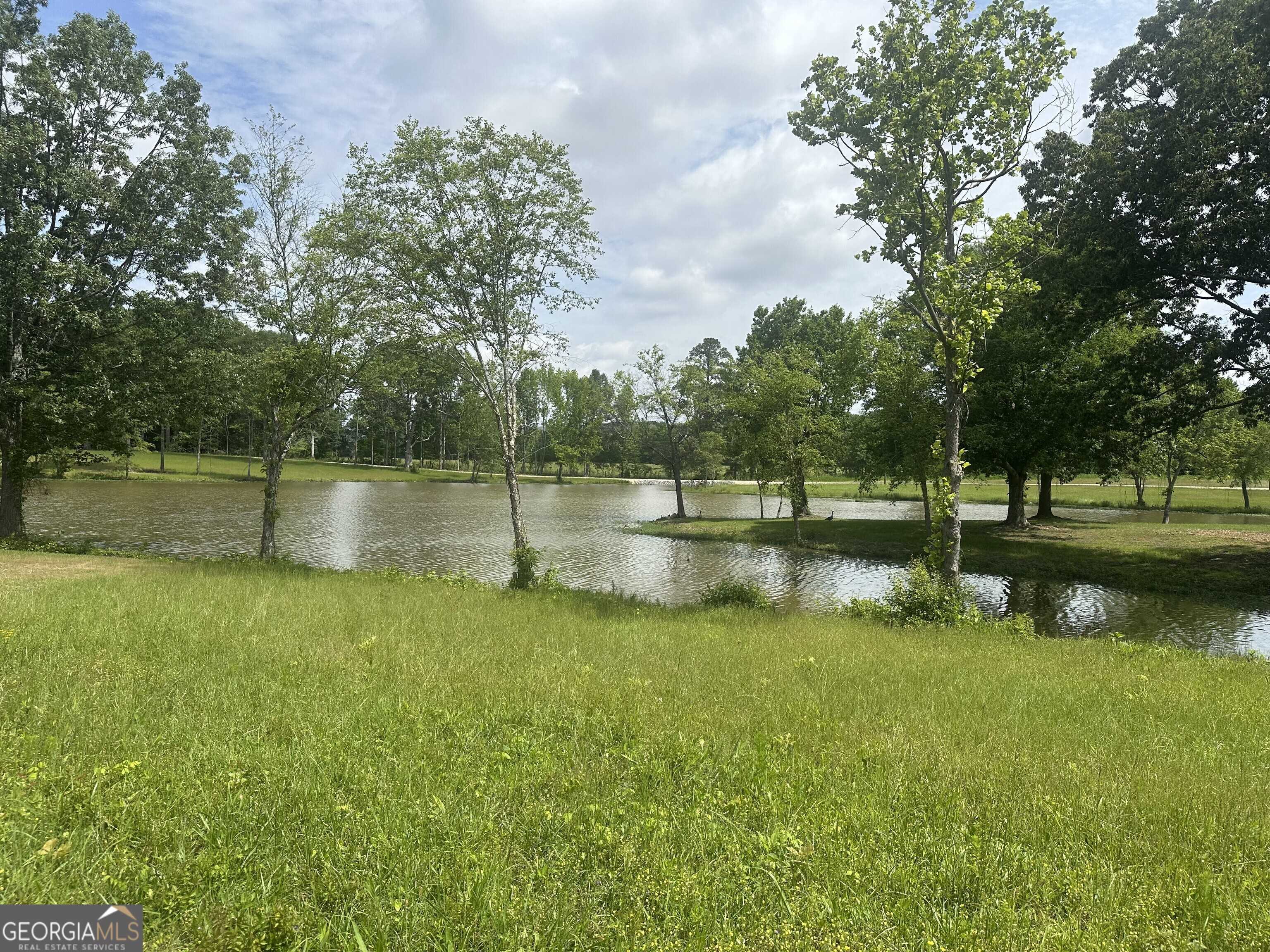 Cedar Bluff, AL 35959,LOT 6 County Road 115