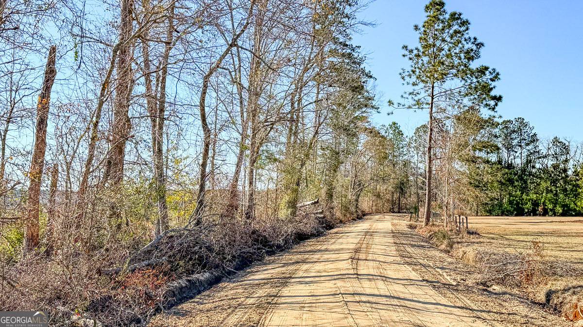 Statesboro, GA 30461,0 RL Lee Road #8