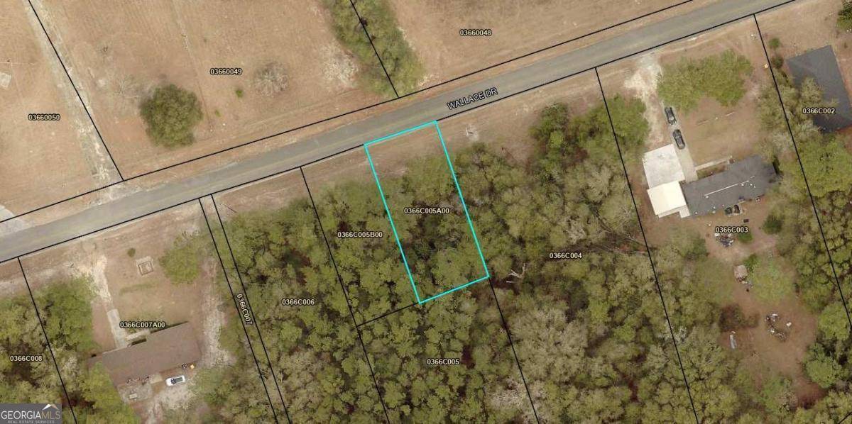 Springfield, GA 31329,0 Wallace DR