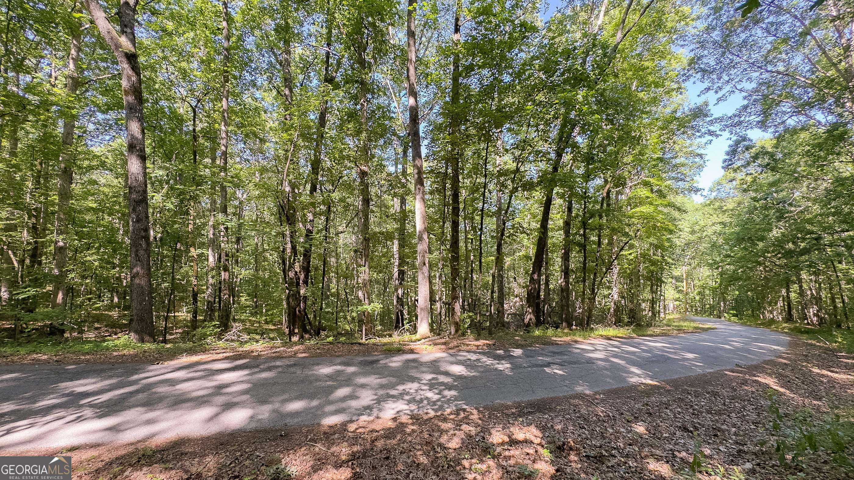 Waverly Hall, GA 31831,0 Timberline North