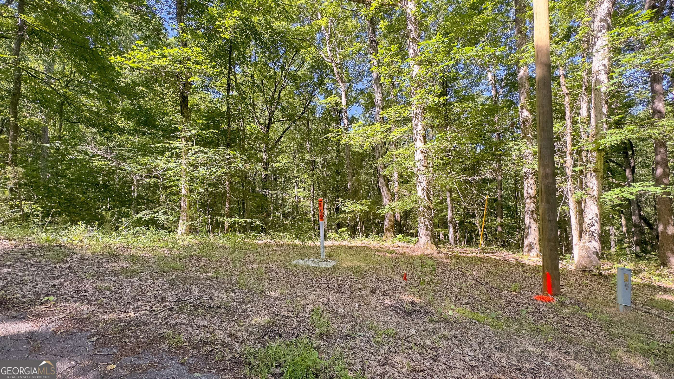 Waverly Hall, GA 31831,0 Timberline North