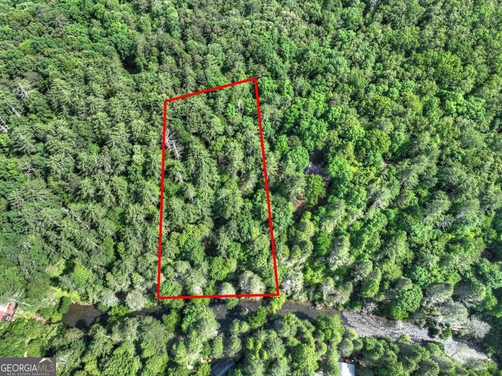 Ellijay, GA 30540,LT 56 Riverbend TRL