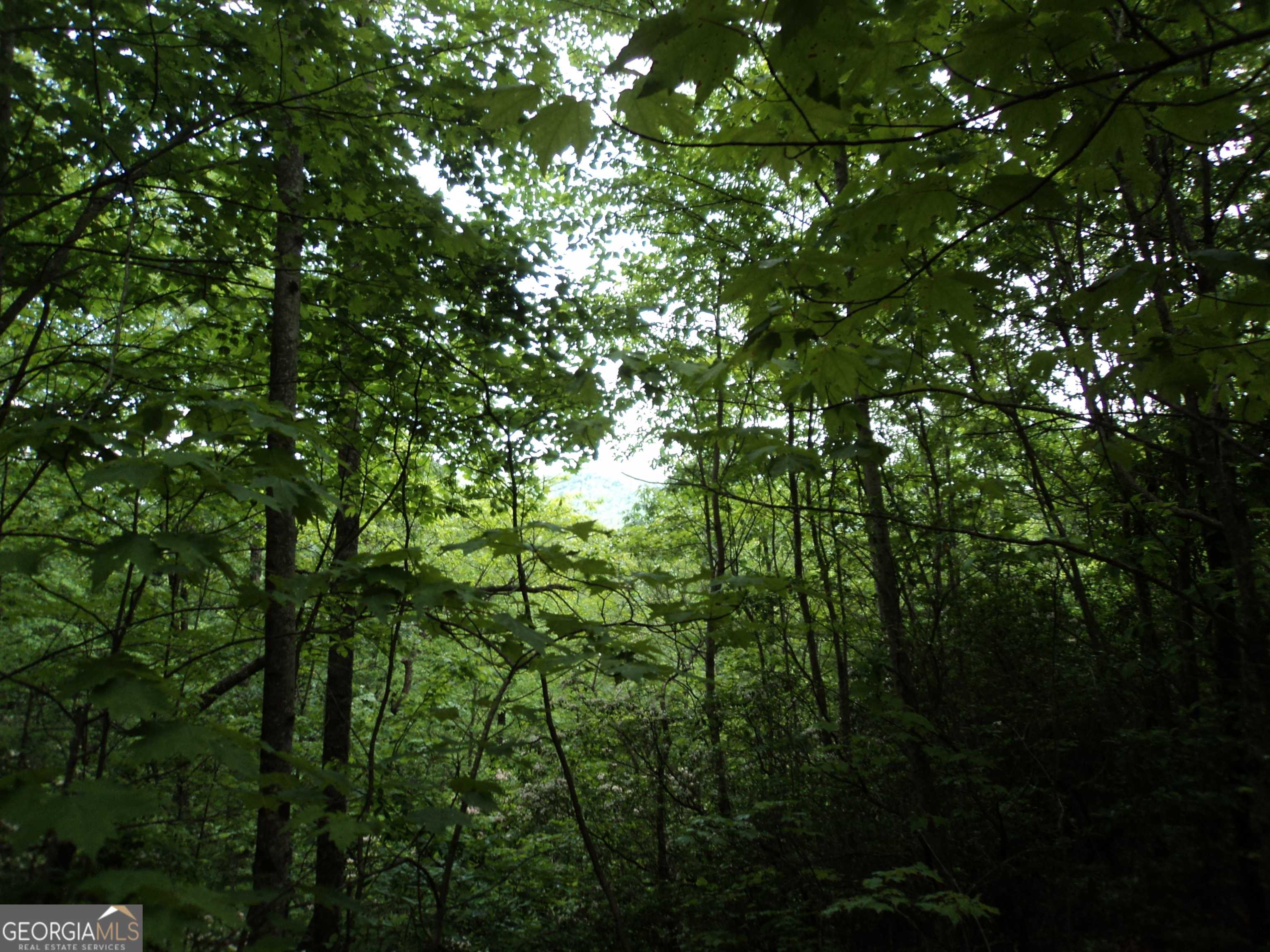 Dillard, GA 30537,LOT SM4 Raven Fork Trail