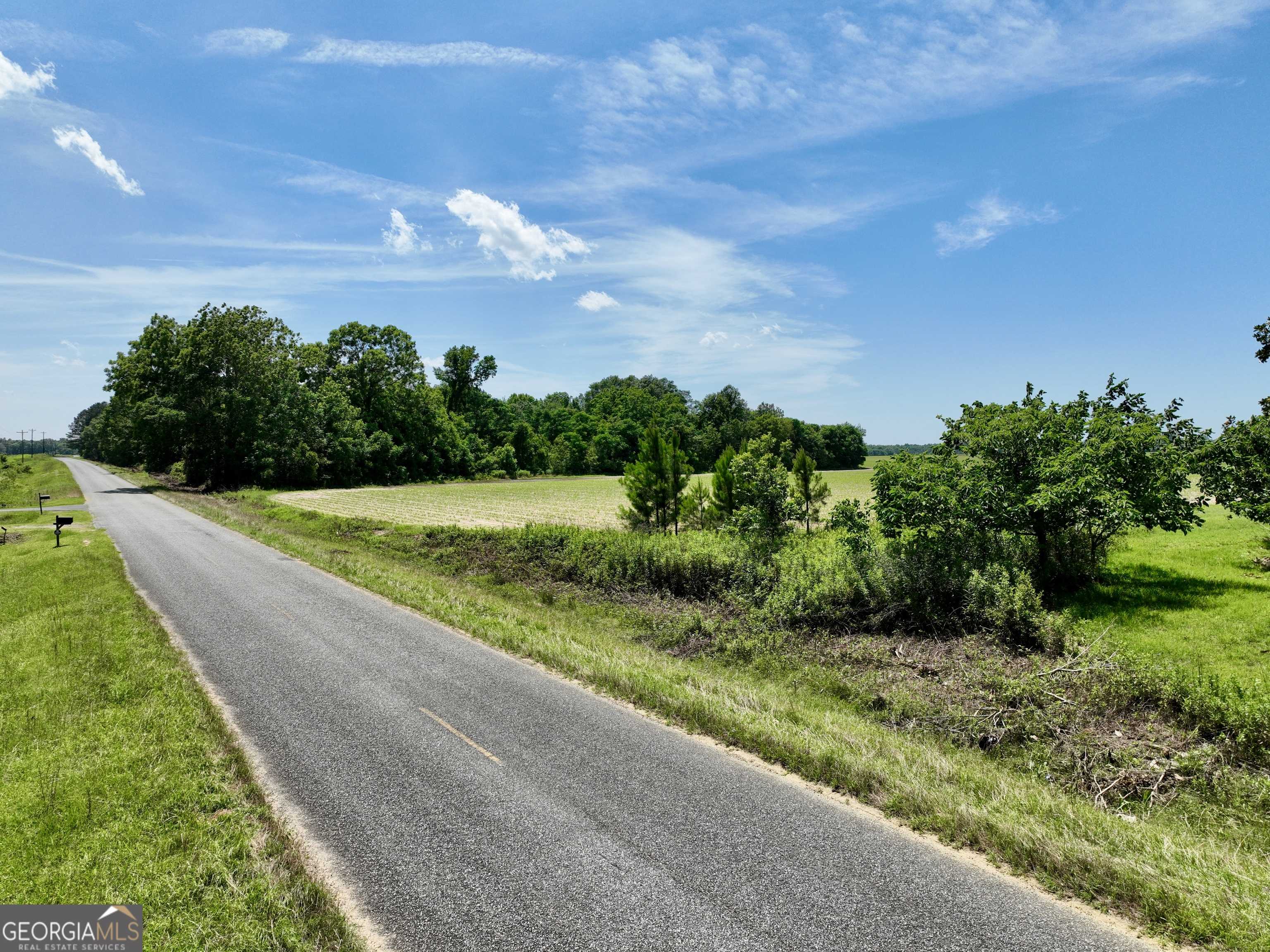 Hawkinsville, GA 31036,177 Fourteen Lane RD