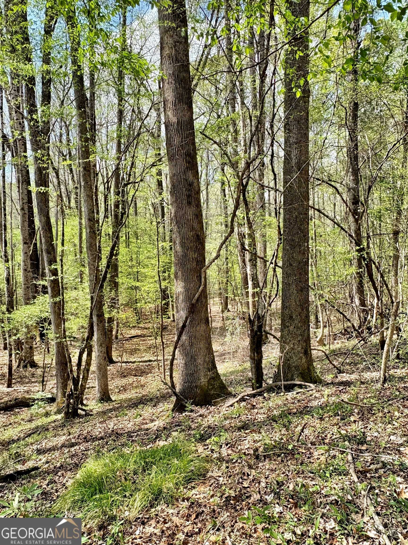 Talbotton, GA 31827,0 Co Rd 12