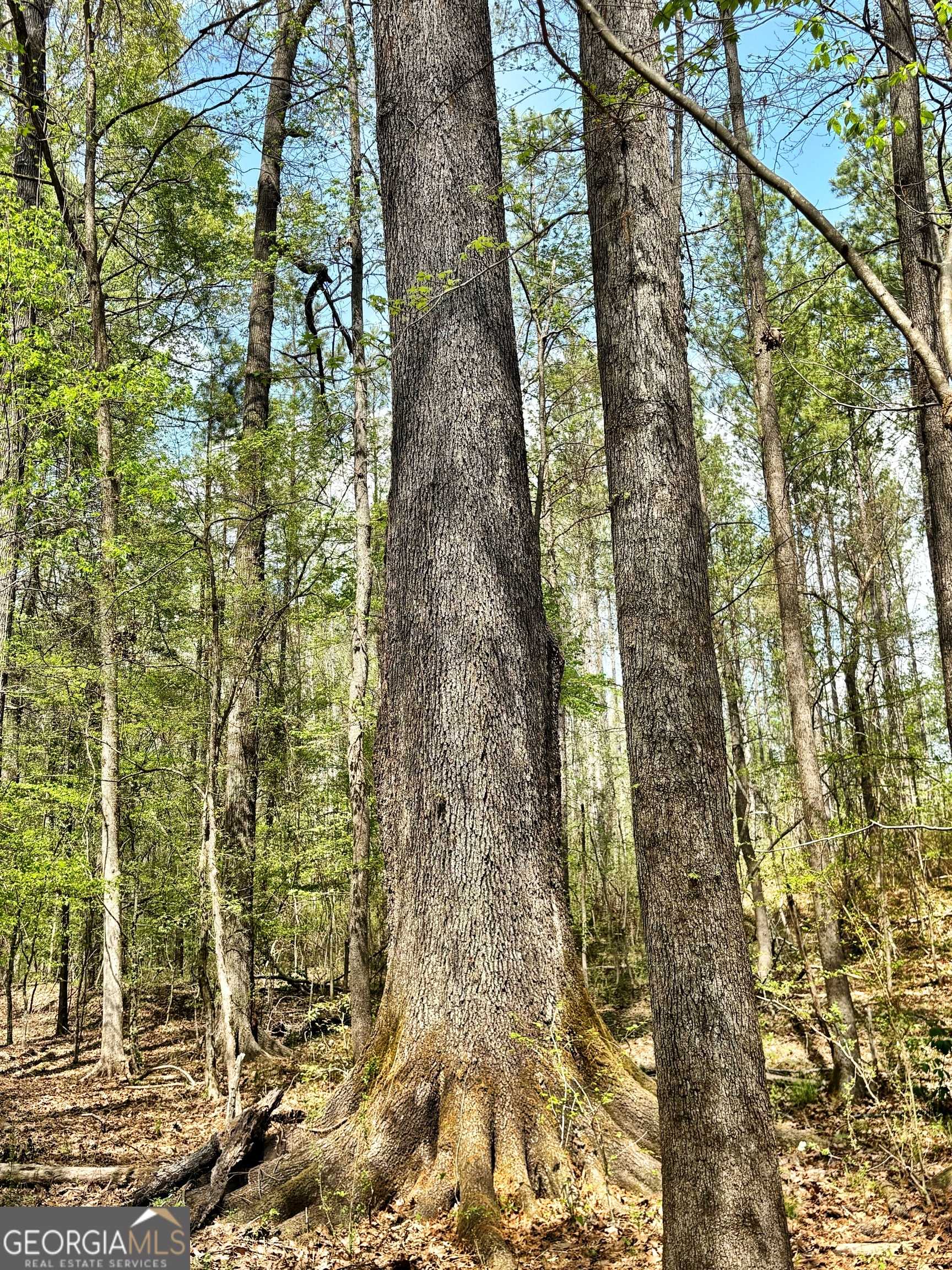 Talbotton, GA 31827,0 Co Rd 12