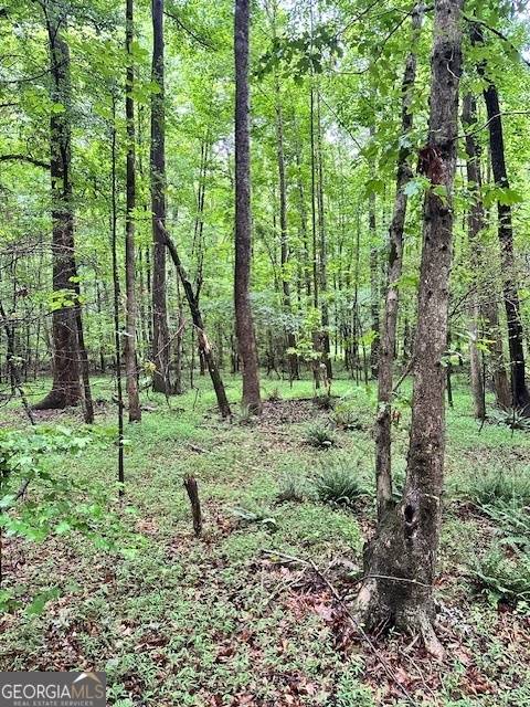 Danielsville, GA 30633,0 Cedar LN