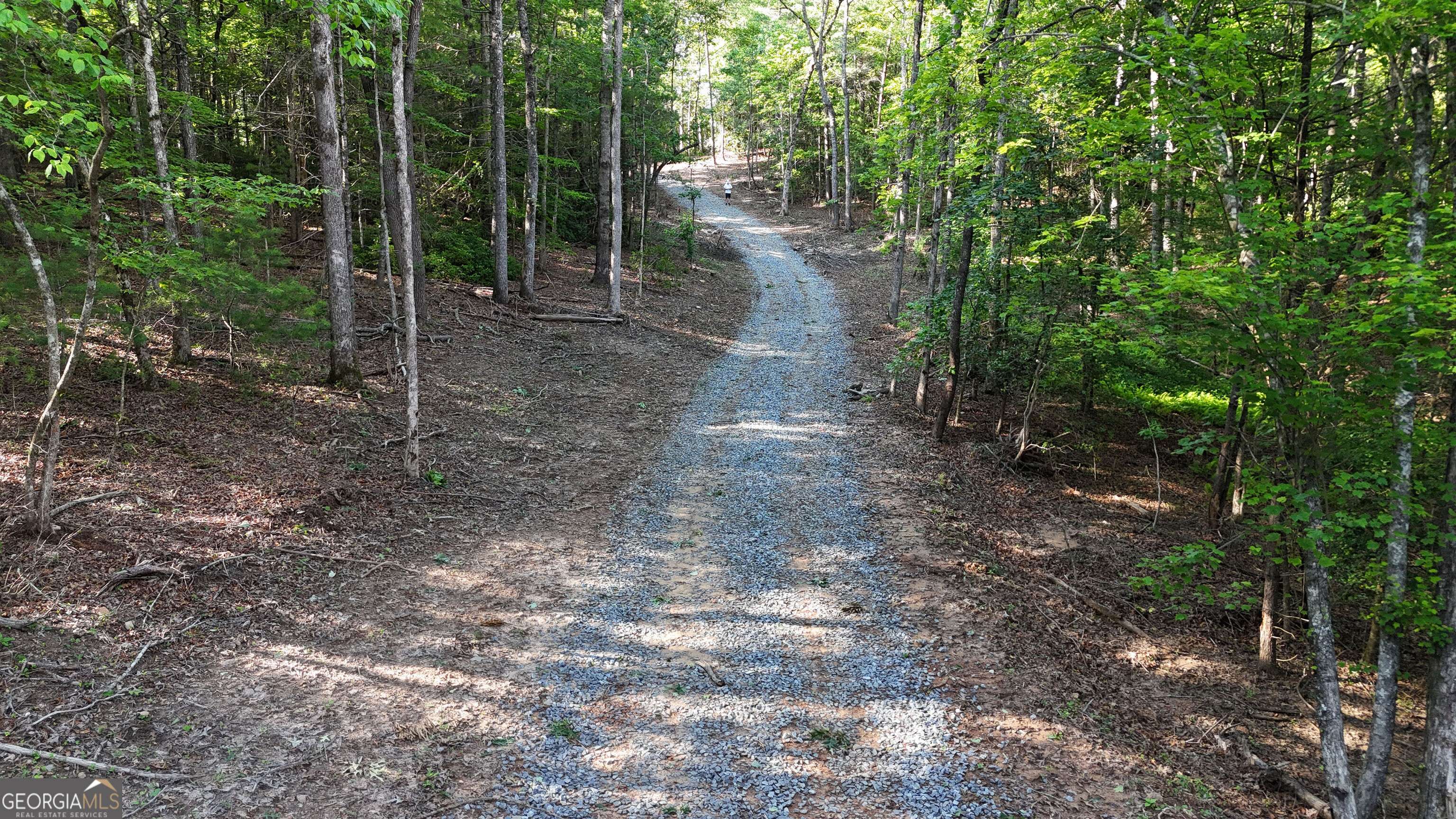 Ellijay, GA 30536,2.4 East New Hope RD