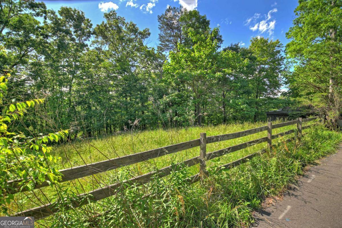 Blue Ridge, GA 30513,LT 15 Tanglewood Cove LN