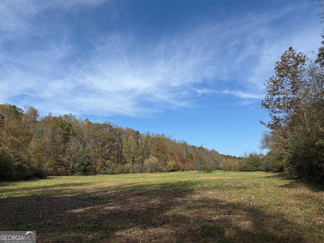 Oxford, GA 30054,2772 Mount Zion