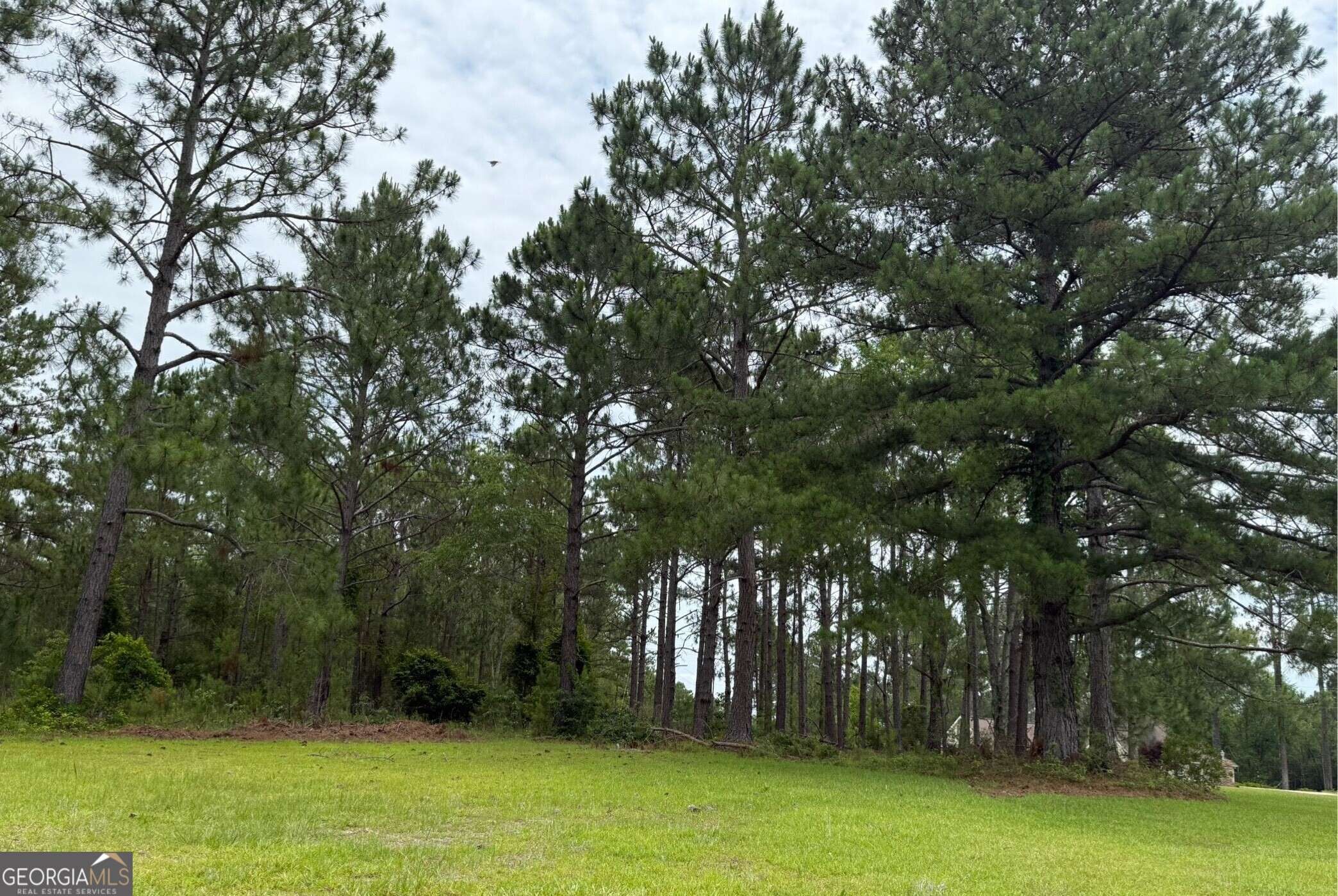 Vidalia, GA 30474,LOT 5 Centerbrook RD