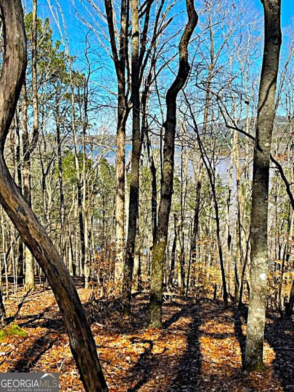 Chatsworth, GA 30705,0 Carters Overlook DR