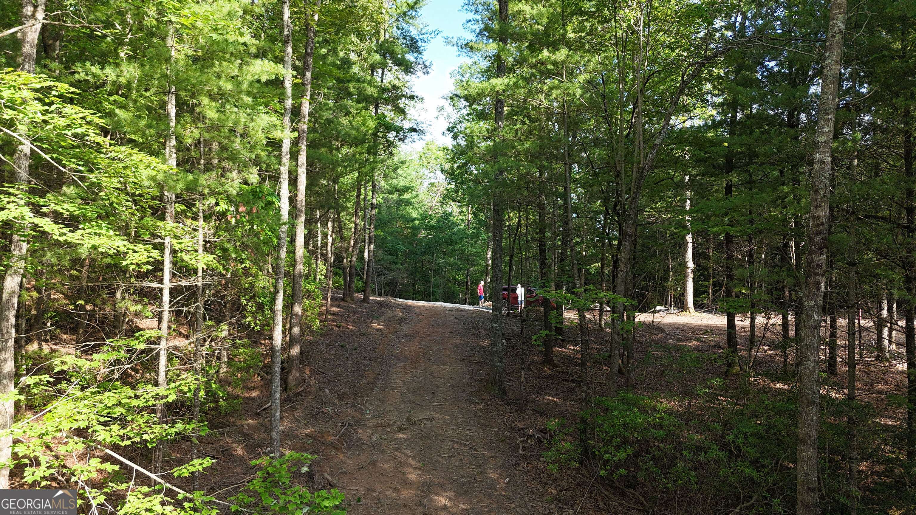 Ellijay, GA 30536,TR 2 East New Hope RD