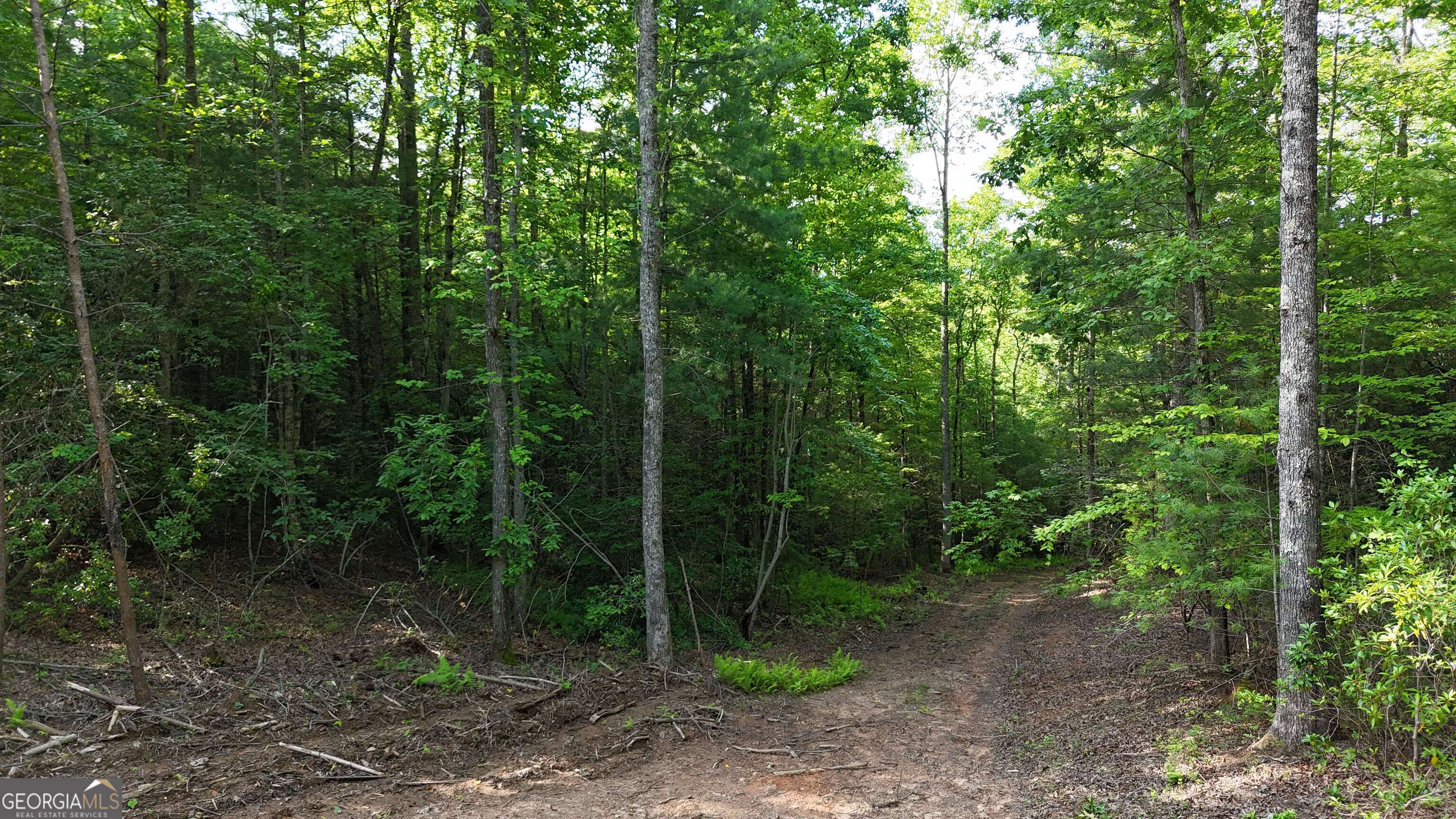 Ellijay, GA 30536,TR 2 East New Hope RD