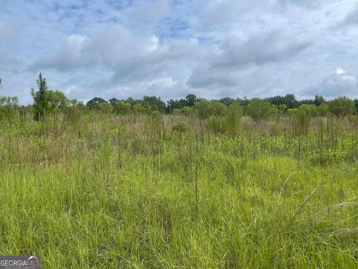 Ailey, GA 30410,264 Whitaker LN