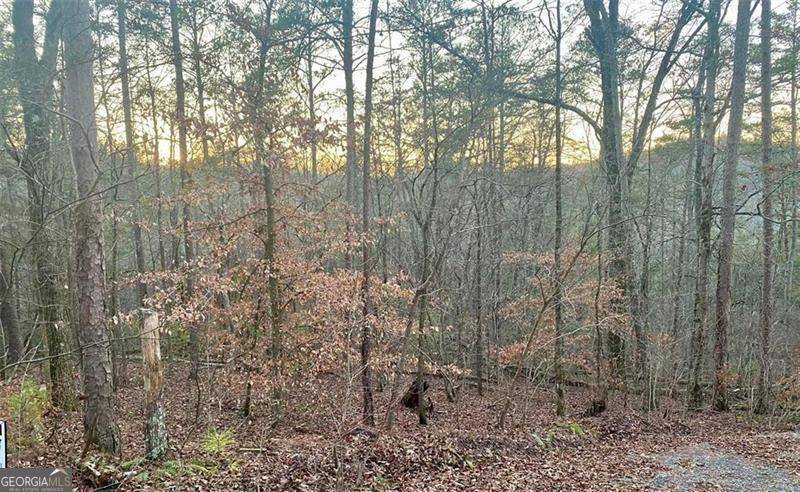 Talking Rock, GA 30175,1684 Shade Tree Drive