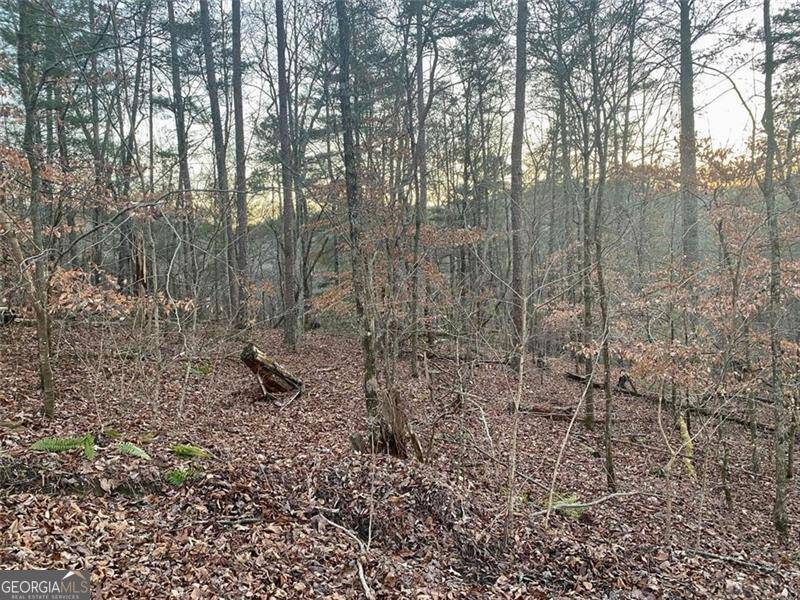 Talking Rock, GA 30175,1684 Shade Tree Drive