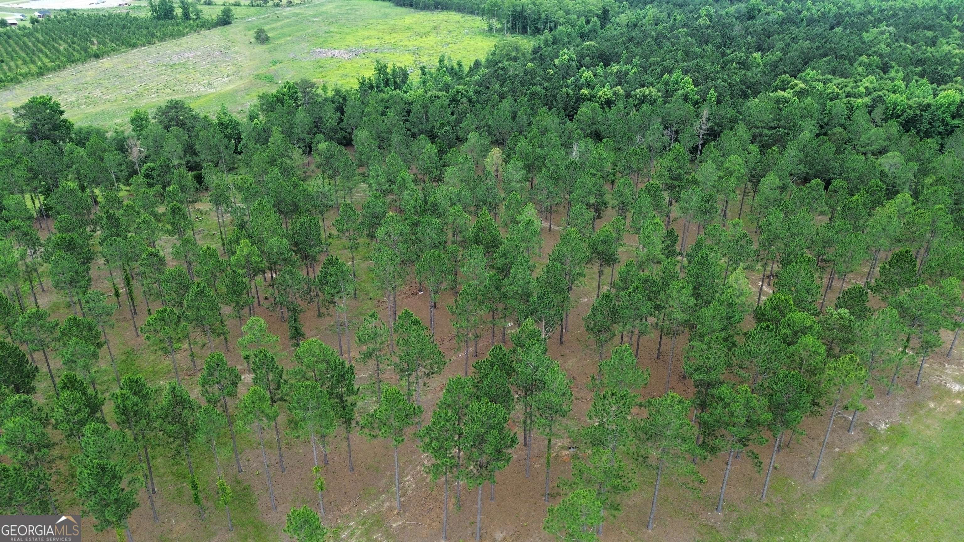 Dublin, GA 31021,0 Blackshear Ferry RD W